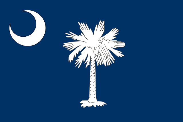 The South Carolina state flag
